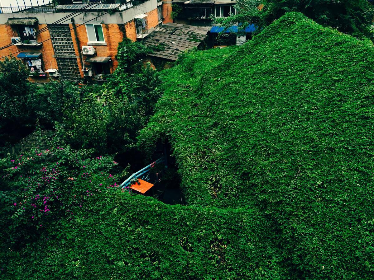 Hello Chengdu International Youth Hostel Ngoại thất bức ảnh